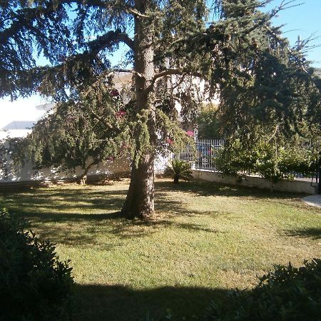 B&B Il Cedro Salve Kültér fotó