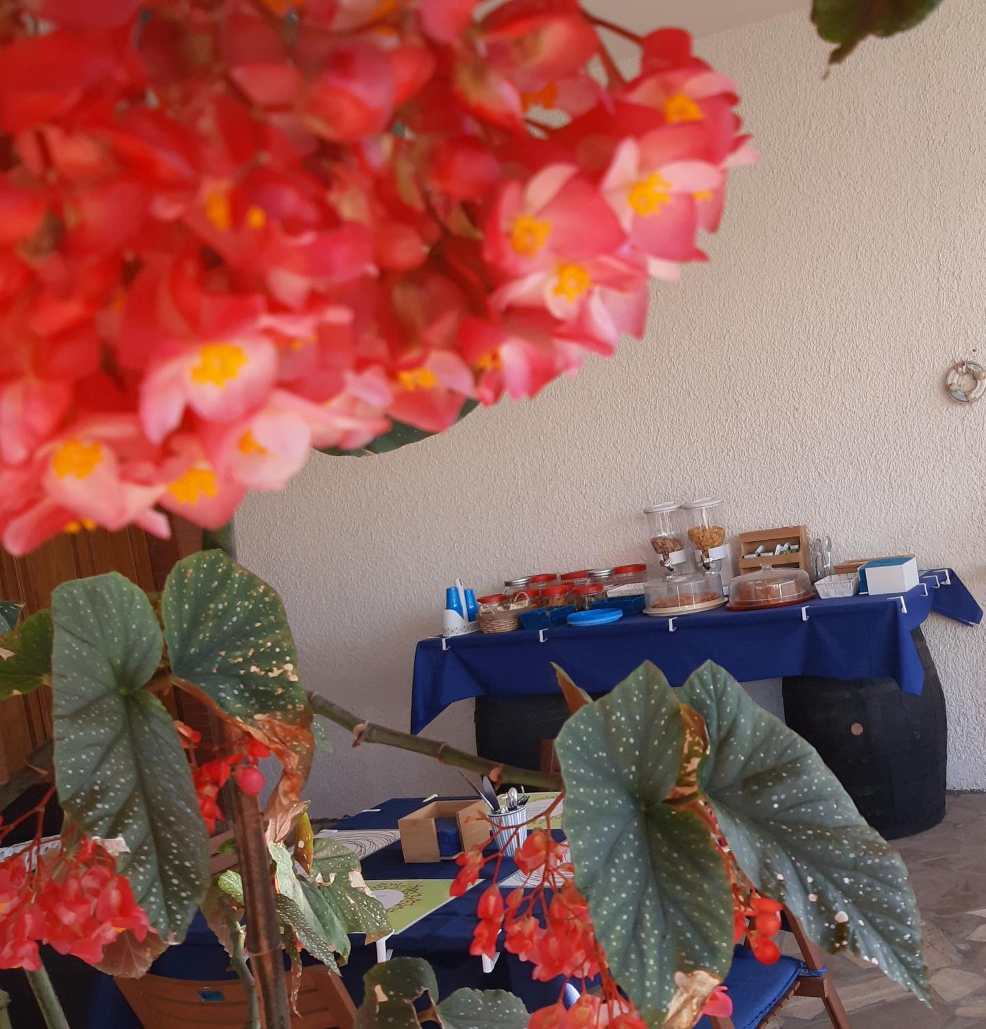 B&B Il Cedro Salve Kültér fotó