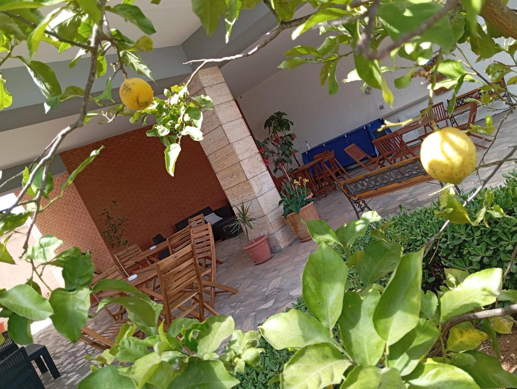 B&B Il Cedro Salve Kültér fotó